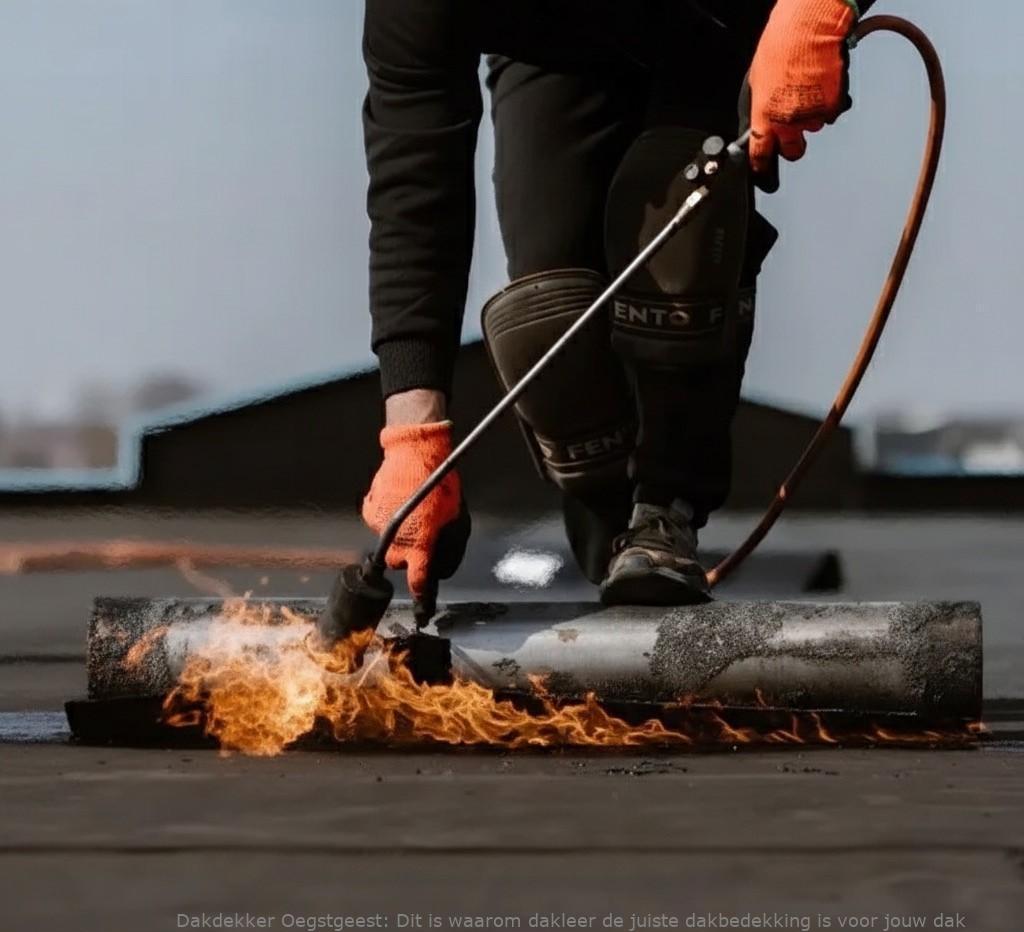 Bitumen Dakbedekking Dakleer Oegstgeest