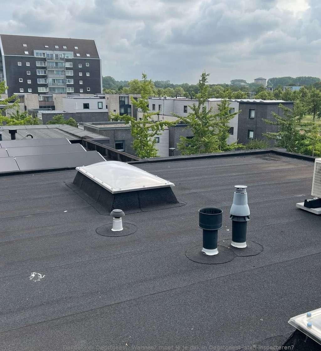 Dak Laten Inspecteren Oegstgeest