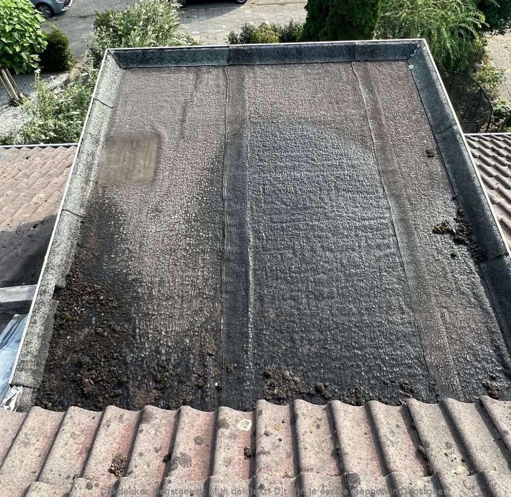 Dak Lekt Oegstgeest