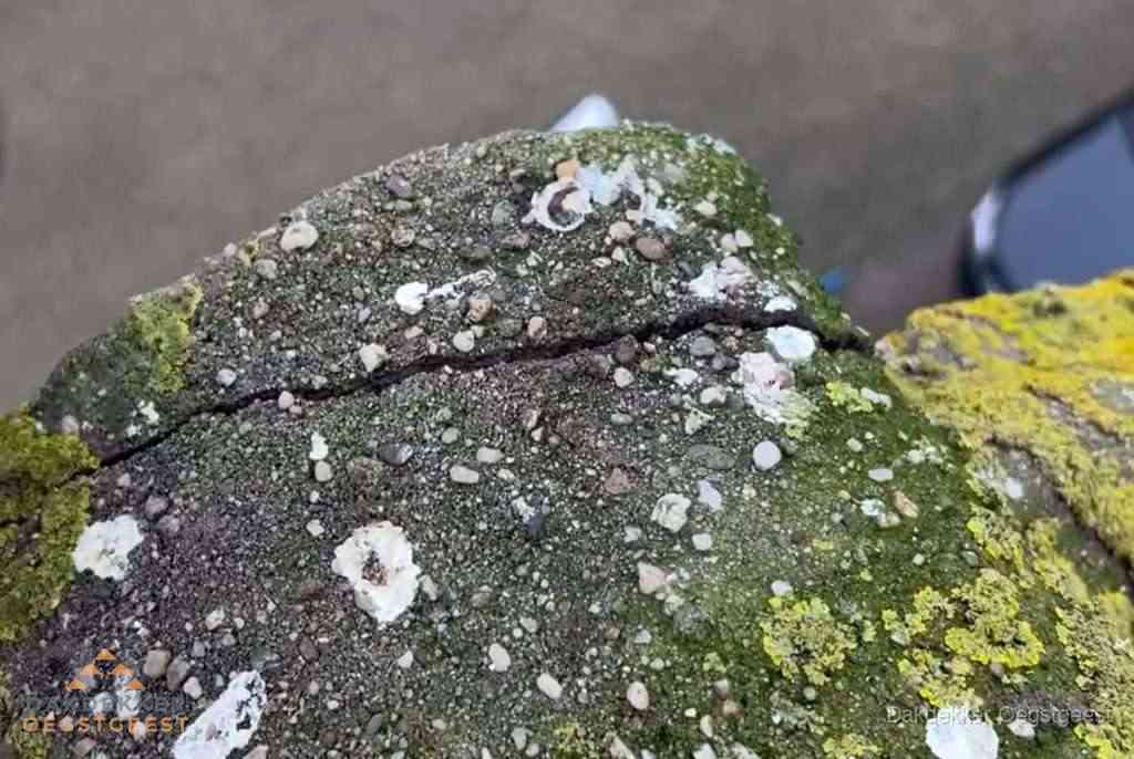 Dakbedekking Beschadigde Nokvorst Oegstgeest