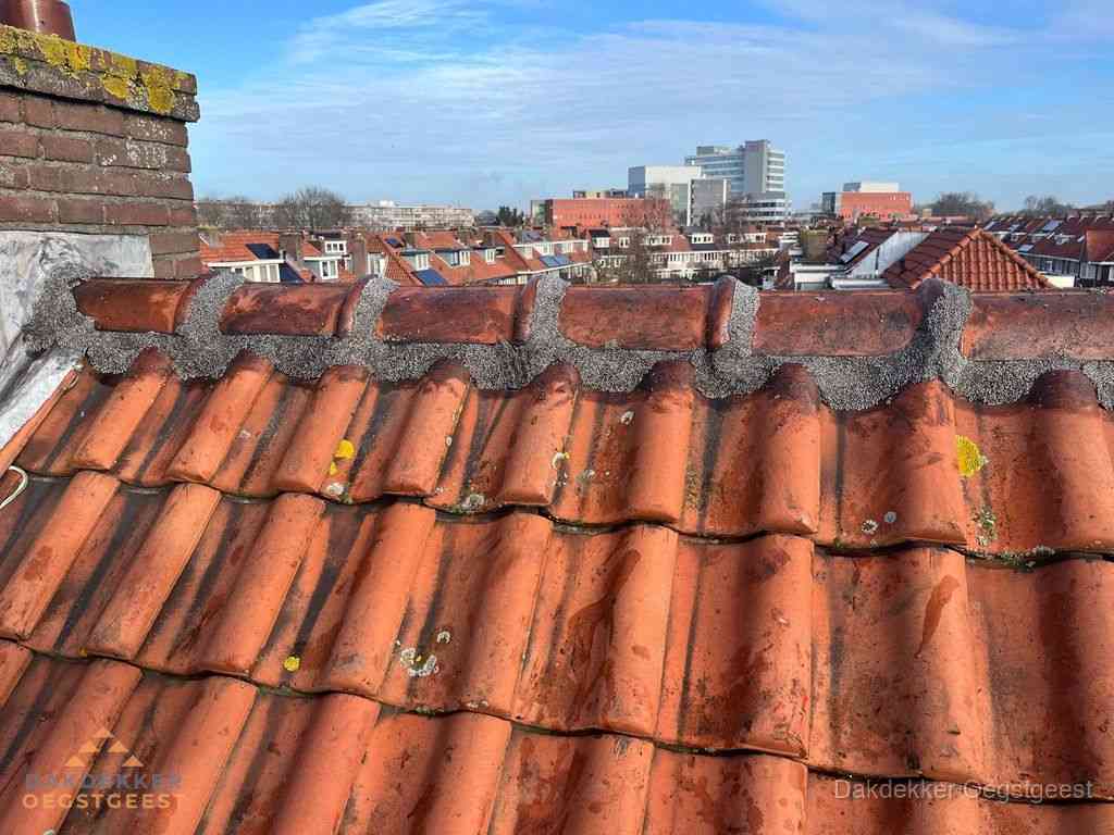 Nieuw bitumen plat dak met uitzicht over woonwijk in Oegstgeest Nieuw bitumen plat dak met uitzicht over woonwijk in Oegstgeest