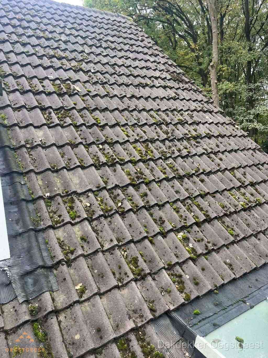 Verweerd pannendak met mosgroei dat renovatie nodig heeft in Oegstgeest Verweerd pannendak met mosgroei dat renovatie nodig heeft in Oegstgeest