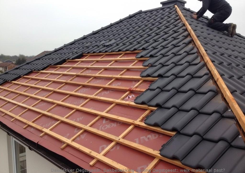 Dakbedekking Woning Oegstgeest