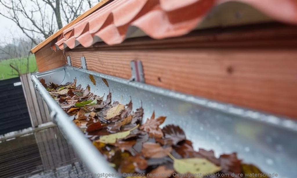 Dakgoot Reparatie Oegstgeest