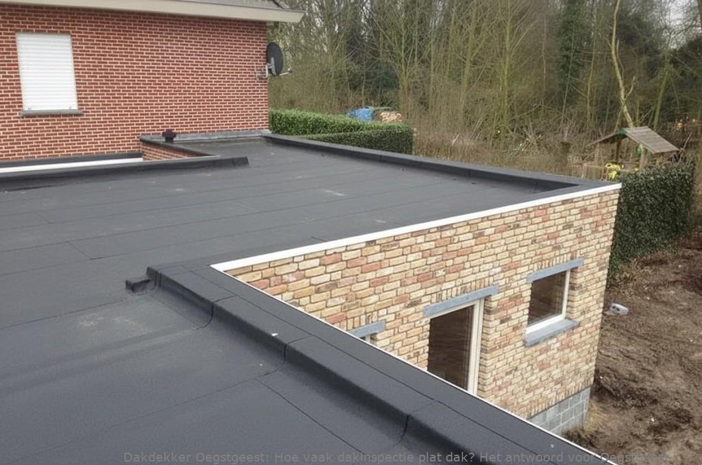Dakinspectie Plat Dak Oegstgeest