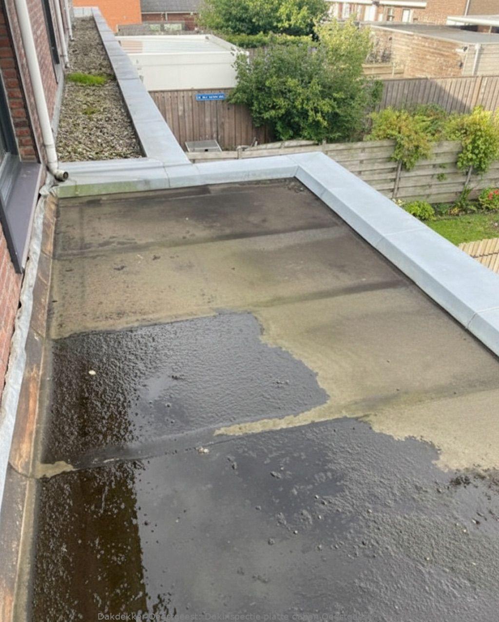 Dakinspectie Platte Daken Oegstgeest