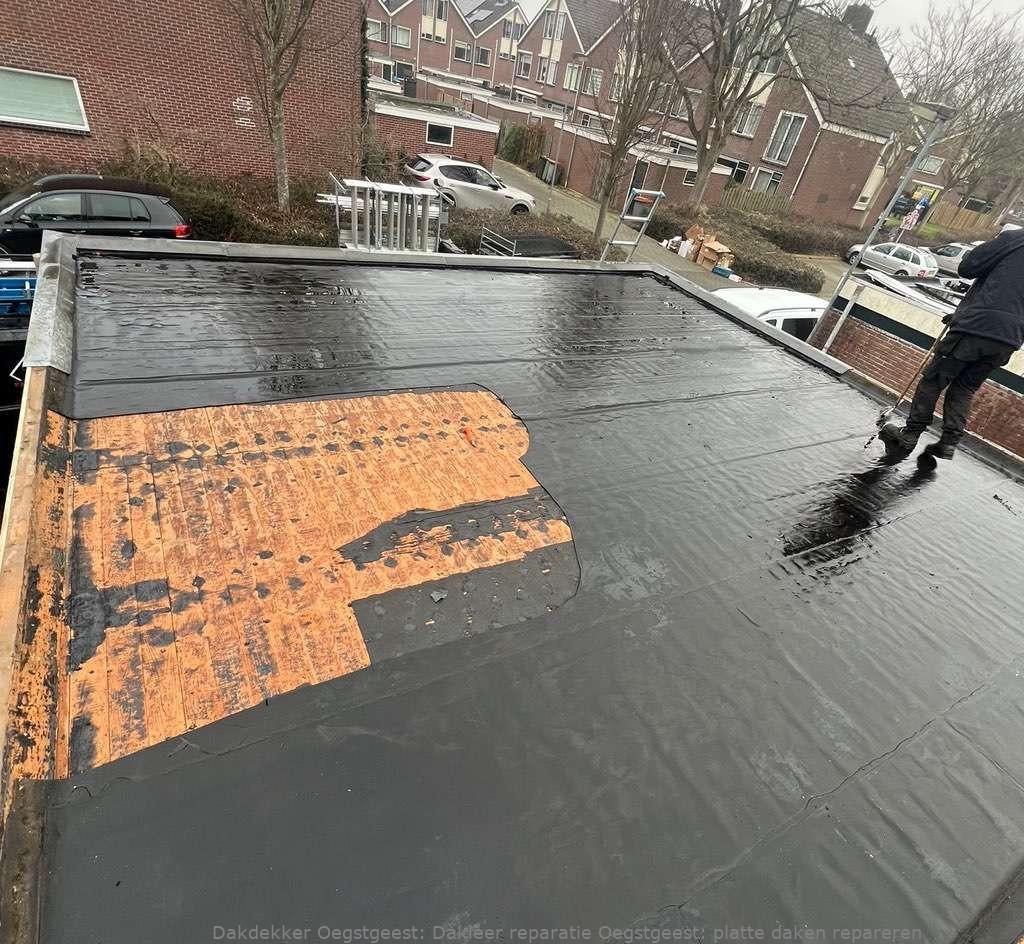Dakleer Reparatie Oegstgeest