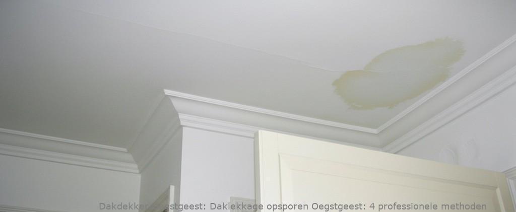 Daklekkage Opsporen Oegstgeest