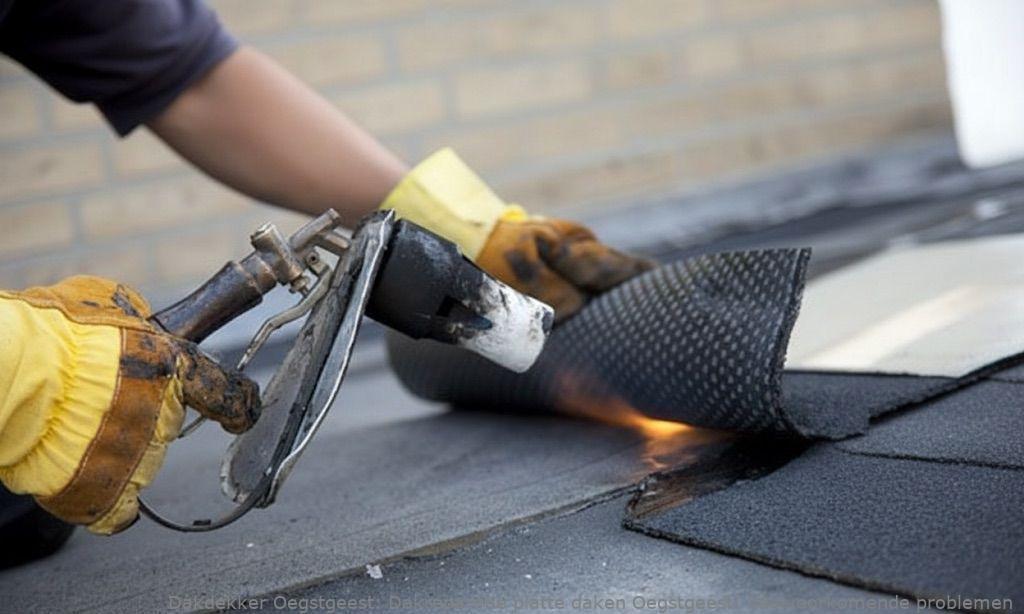 Dakreparatie Platte Daken Oegstgeest