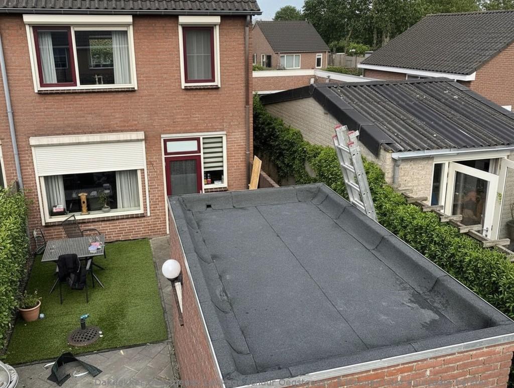 Lekkage Schuur Oegstgeest