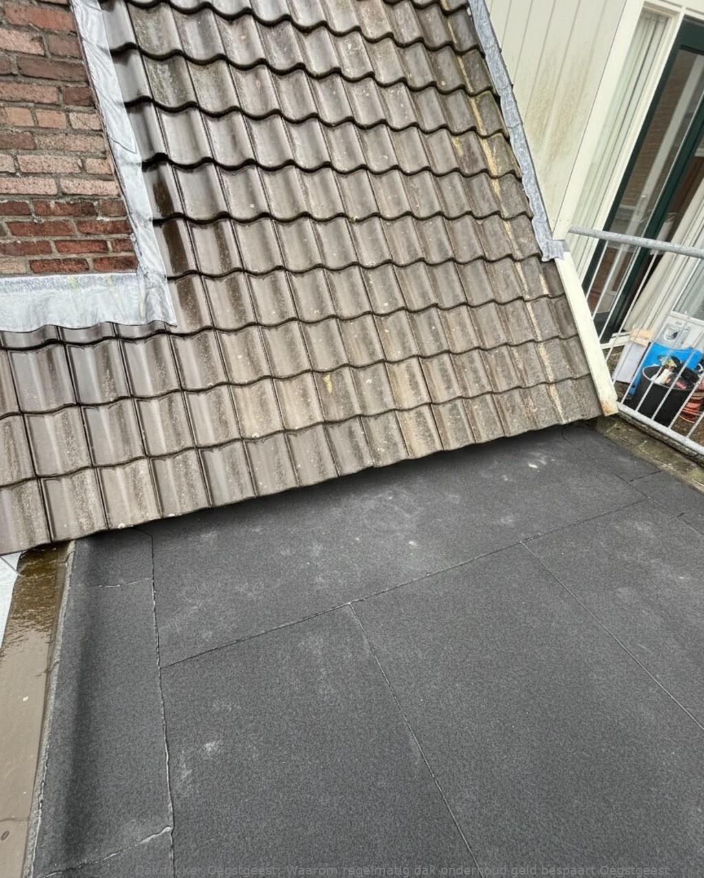Onderhoud Dak Oegstgeest