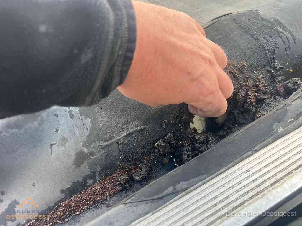Plat Dak Reparatie Oegstgeest