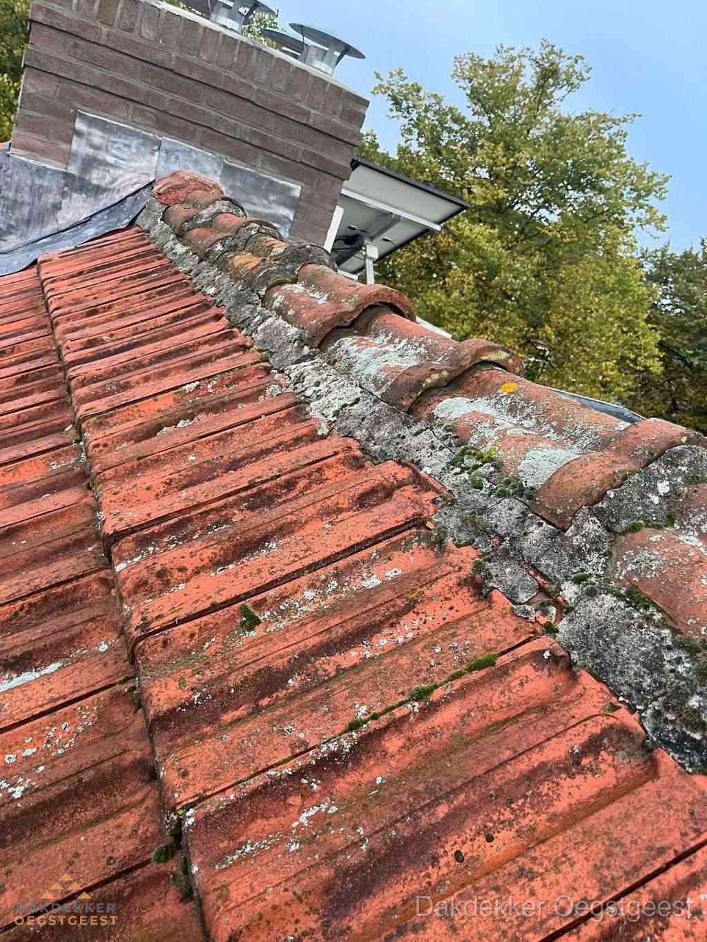 Renovatie Hellend Dak Oegstgeest