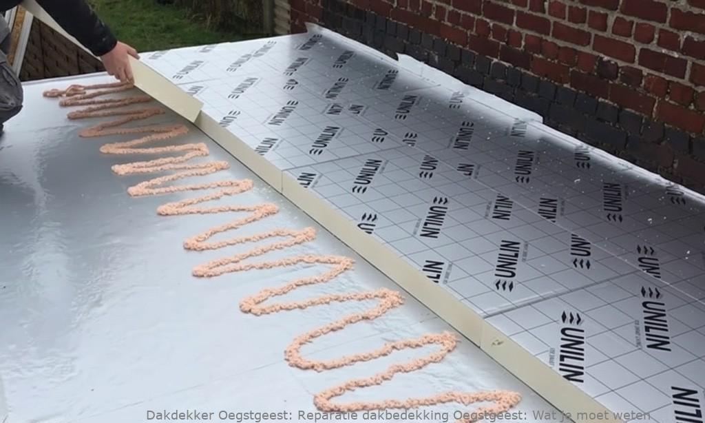 Reparatie Dakbedekking Oegstgeest