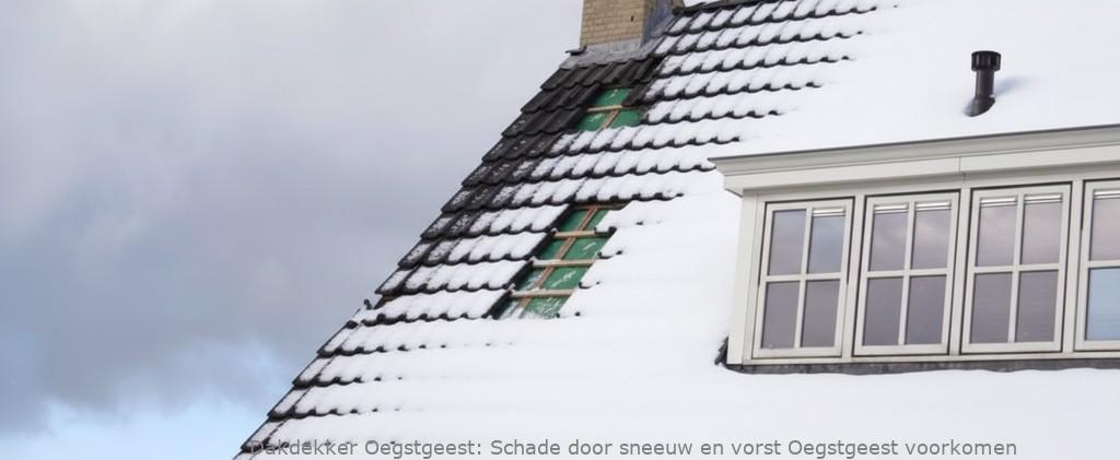 Schade Door Sneeuw En Vorst Oegstgeest