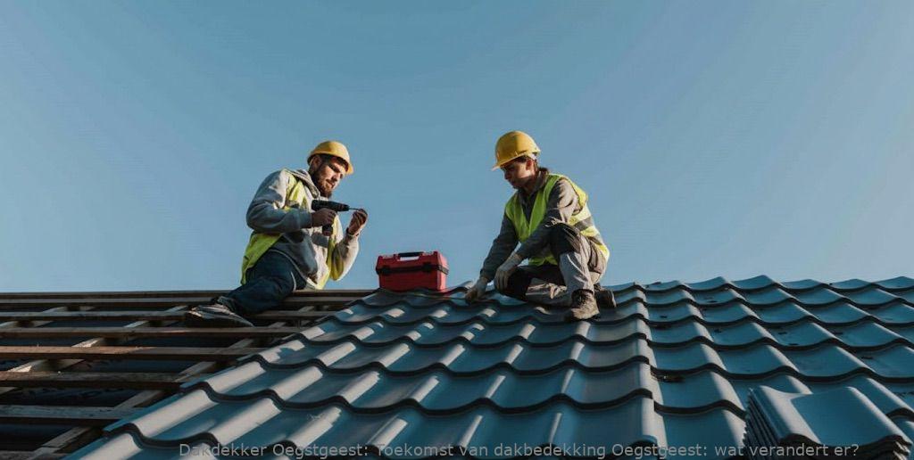 Toekomst Van Dakbedekking Oegstgeest