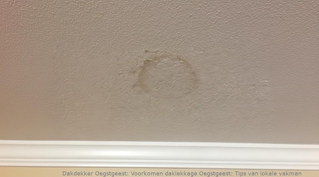 Voorkomen Daklekkage Oegstgeest