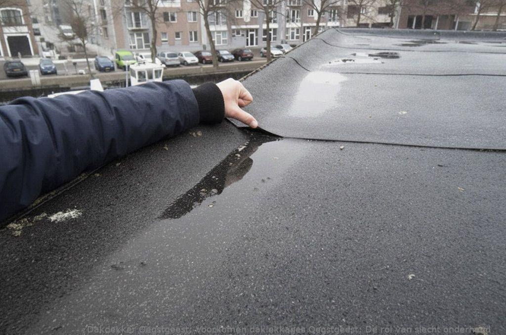 Voorkomen Daklekkages Oegstgeest
